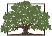 Tree Icon